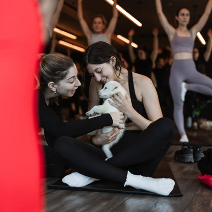 Rescue Puppy Yoga at 1 Hotel Brooklyn Bridge • December 7th