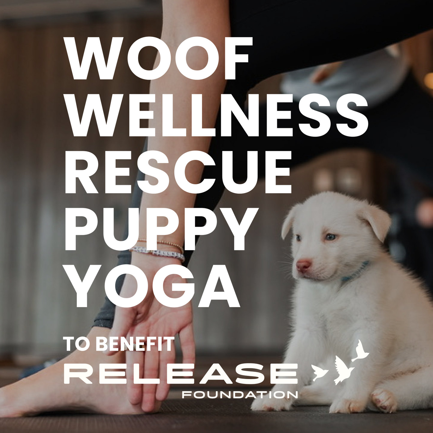 Rescue Puppy Yoga Benefitting Release Foundation • October 26th