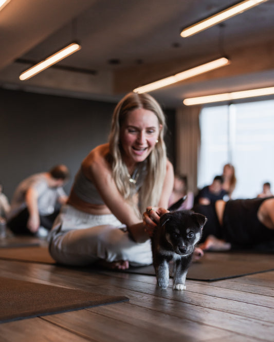 Weekend Rescue Puppy Yoga • October 12th